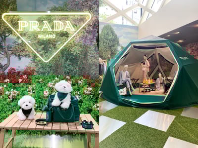 �ץ�� �����ȥɥ������`�ǥ�