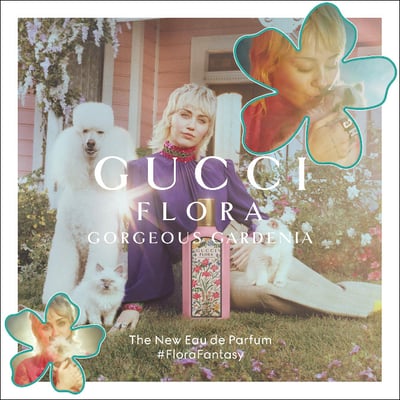 �����å� �ե��`�� ���`���㥹 ���`�ǥ˥����ᥤ��������奢��