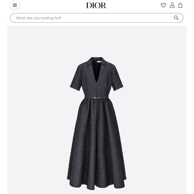 アンヌ・イダルゴ パリ市長が着用したディオール ロングドレス