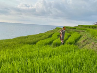 tefutefu, Inc.　森星