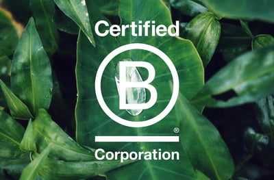 B Corp�J�^��������