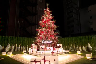 ���ε�����㡸The Reflecting Garden���Υ��ꥹ�ޥ��ĥ�`