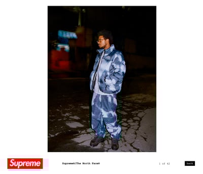 シュプリーム　ザ・ノースフェイス