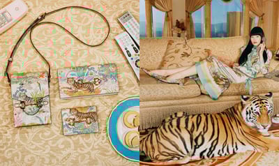 ���å���GUCCI TIGER