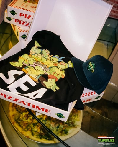 ウィンダンシー　タートルズ