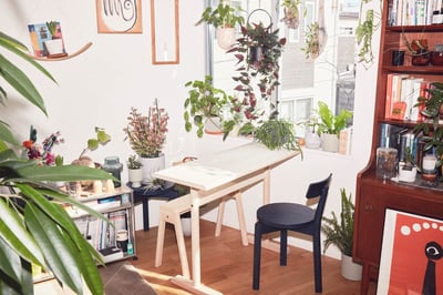 アクタス　グッドエイティーパーセント