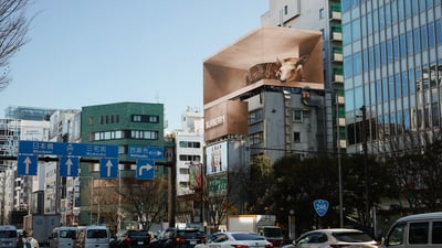 バーバリー 3D広告 子鹿