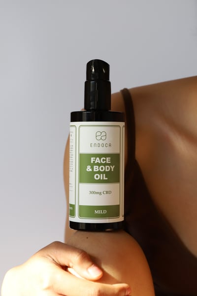 ����ɥ��Υե��������ܥǥ�������