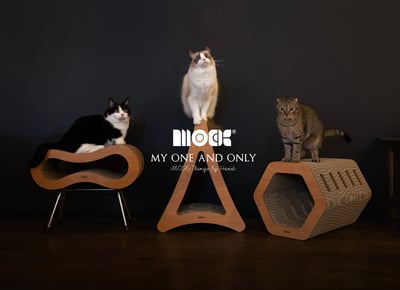 3つのスツールに乗る3匹の猫