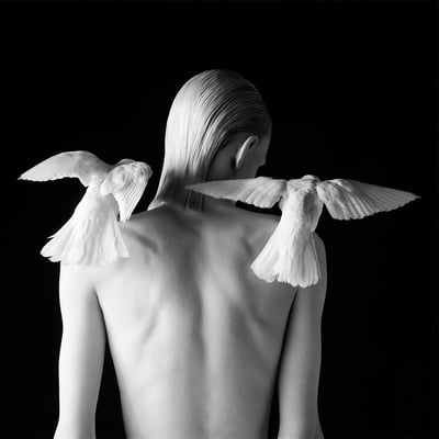 セリーヌのモノクロのヴィジュアル