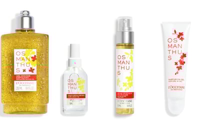 金木犀の花の背景と黄色い香水の画像