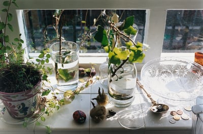 �ݩ`�����g�^��չ�_���������ե���?�ƥ���ޥ󥹤���Ʒ