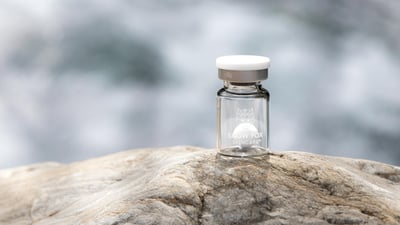 ガラス容器に入ったフリーズボールが岩の上に置かれている画像