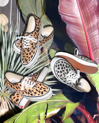 ワコマリアとヴァンズのヒョウ柄コラボスニーカー