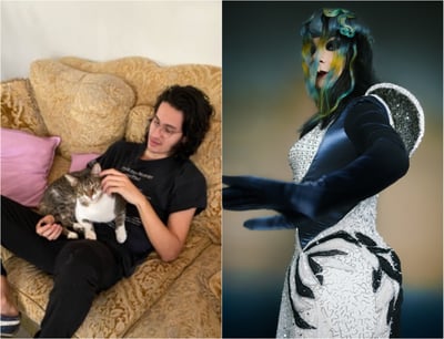 björkとFlanafiのアーティスト写真