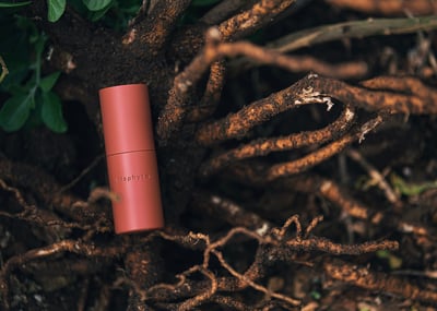 植物の根の上に置かれた赤い縦長のパッケージ