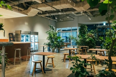 ライティングされた店内