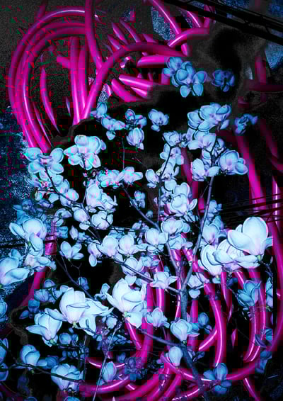 TAKAYとヨシロットンによる作品