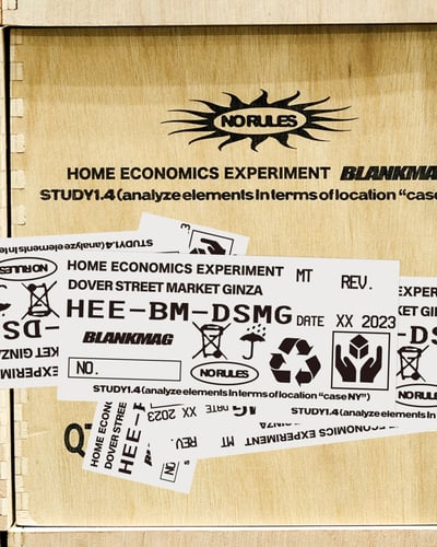 BLANKMAG��HOME ECONOMICS EXPERIMENT�ȤΥ��ץ��륳�쥯�����