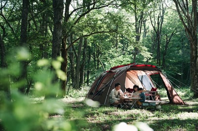 森林とテント