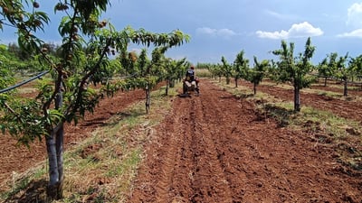 �r����д��