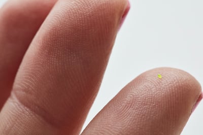 �����ƥ໭��