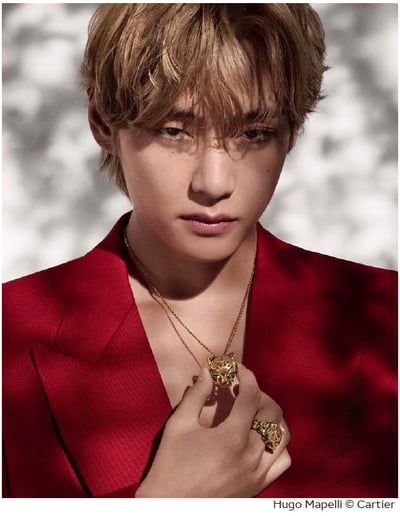 BTS Vを起用したヴィジュアル