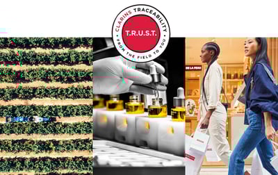 クラランスのヴィジュアル