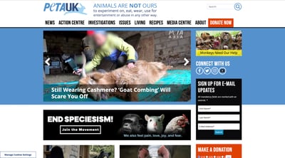 PETA��ʽ������