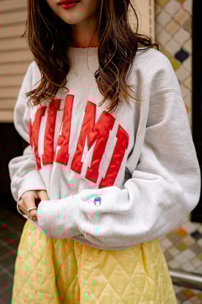 �����ԥ���Υ��`���`���Ť���ǥ�λ���