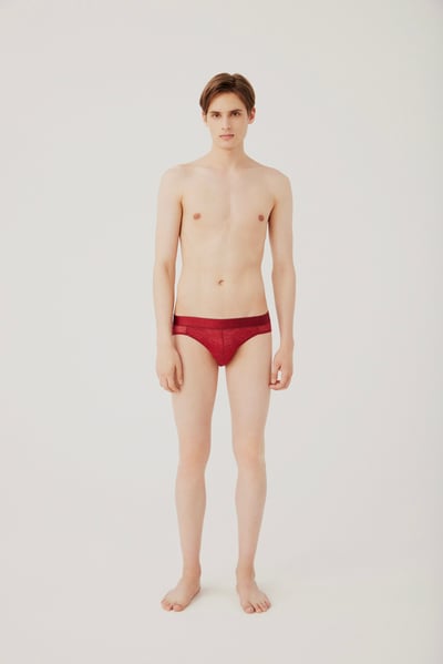 ワコールメンのレースブリーフを着用したモデル