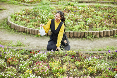 ワークマンがホームギアドレスを発売