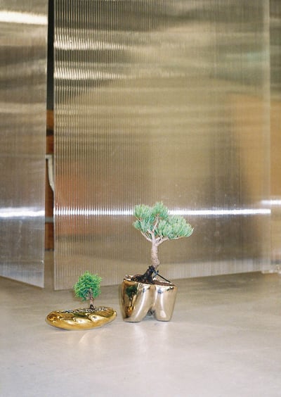 �������奢�뻭��