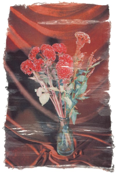 ayakaendo����Ʒ