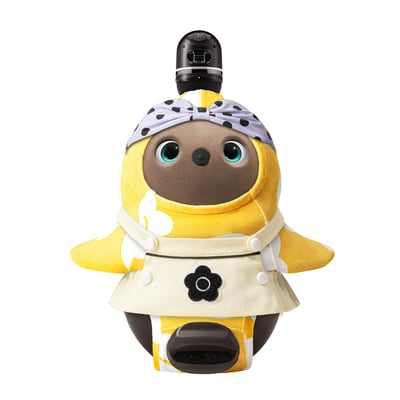 ���û���