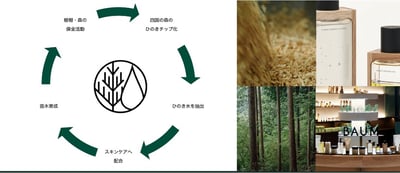 BAUMと居浜市と住友林業との三者協定の図とイメージ