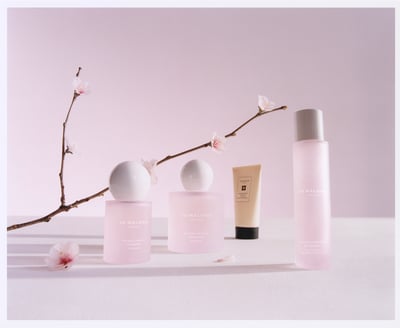 桜を表現したフレグランスシリーズのキーヴィジュアル