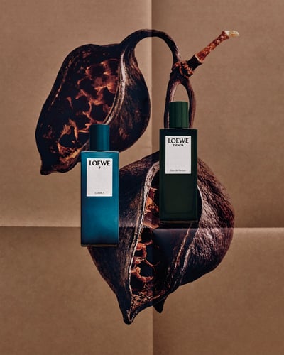 旧正月エディション