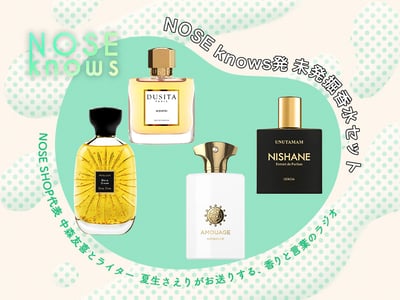 �����ƥ໭��