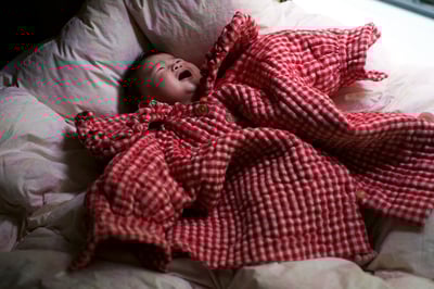 作品のヴィジュアル