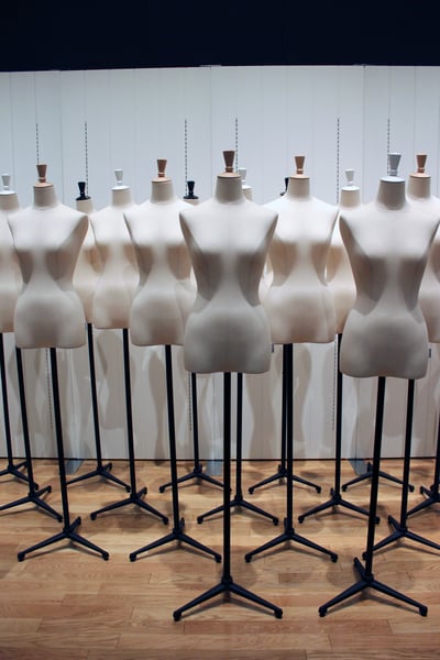 �ޥͥ���μ���