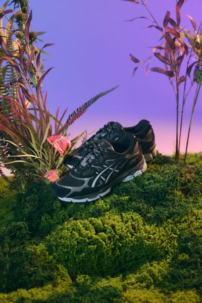 ヴィジュアル画像