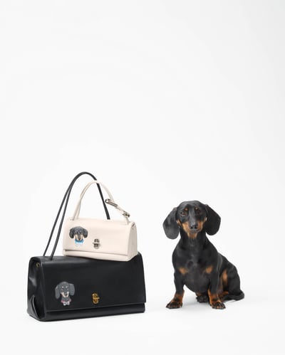 �ڥåȤ��ڥ���Ȥ����ީ`�� ���������֥��Υ�������Хå�