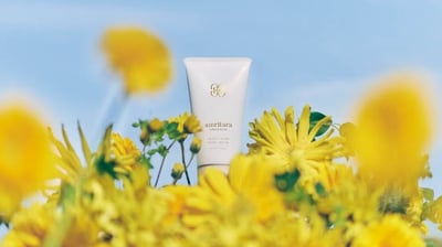 ����`��������Ȼ�