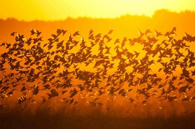 新プロジェクトのイメージ画像