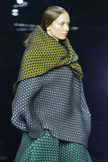 ISSEY MIYAKE 2015-16AW パリコレクション 画像11/70
