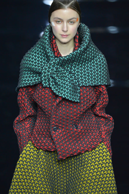 ISSEY MIYAKE 2015-16AW パリコレクション 画像13/70