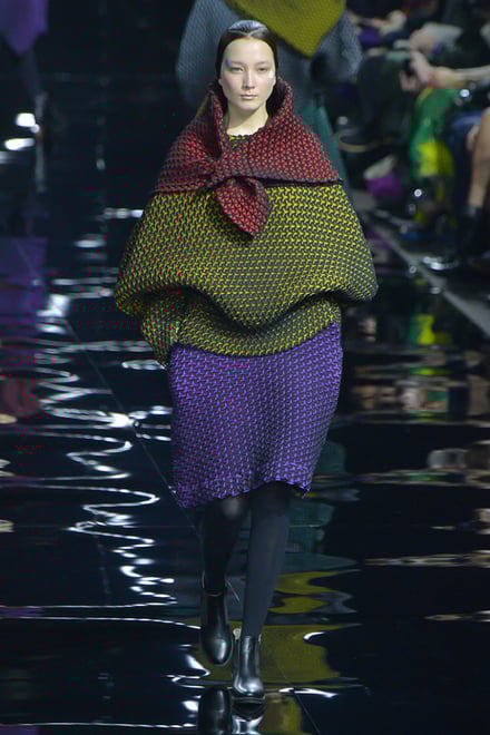 ISSEY MIYAKE 2015-16AW パリコレクション 画像14/70