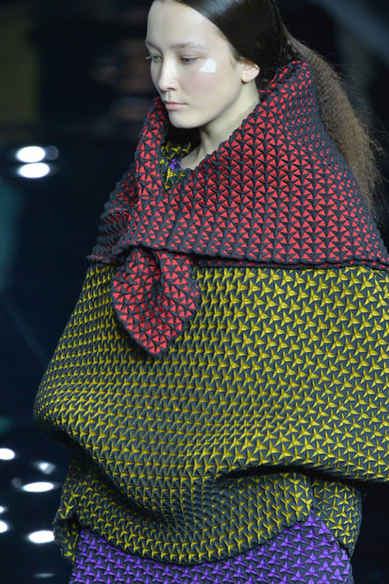 ISSEY MIYAKE 2015-16AW パリコレクション 画像15/70