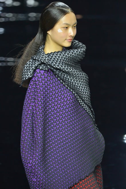 ISSEY MIYAKE 2015-16AW パリコレクション 画像17/70